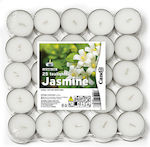 Art et Lumiere Tealights with Scent Jasmine in White Color (up to 4 Burning Hours ) 25pcs