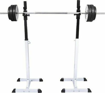 vidaXL Barbell Rack for Weight Bars