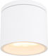 Globo Lighting Alcala Spot de Exterior GX53 în Culoare Alb 32063W