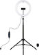 Puluz PKT3065B Ringlicht 26cm mit Bodenstativ 1,65m