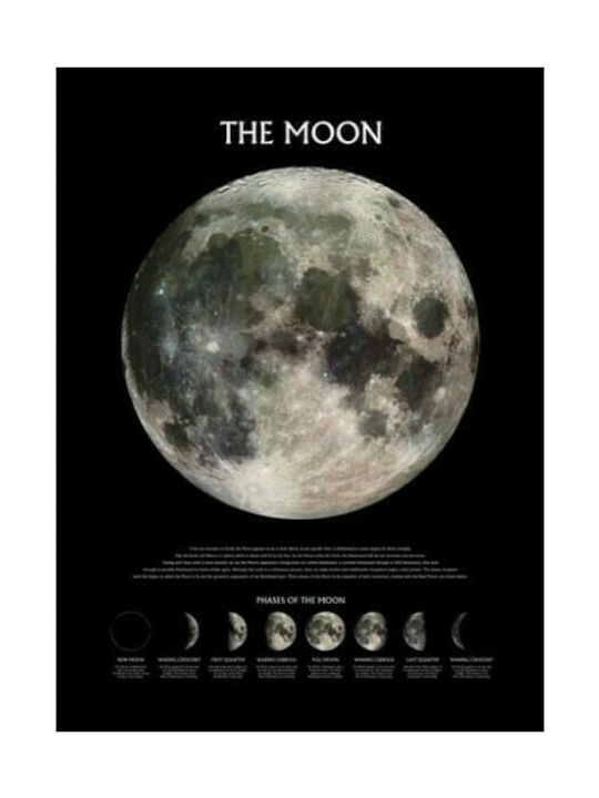Pyramid International Poster The Moon Phases 61x91.5cm