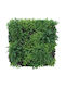 Newplan Panou artificial de frunziș 1x1m
