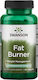 Swanson Diet Fat Burner 60 Registerkarten