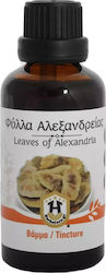 Herbstore Tincture Leaves of Alexandria Tincture 50ml