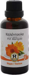 Herbstore Tincture Pot Marigold Tincture Calendula 50ml