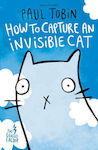 How to Capture an Invisible Cat