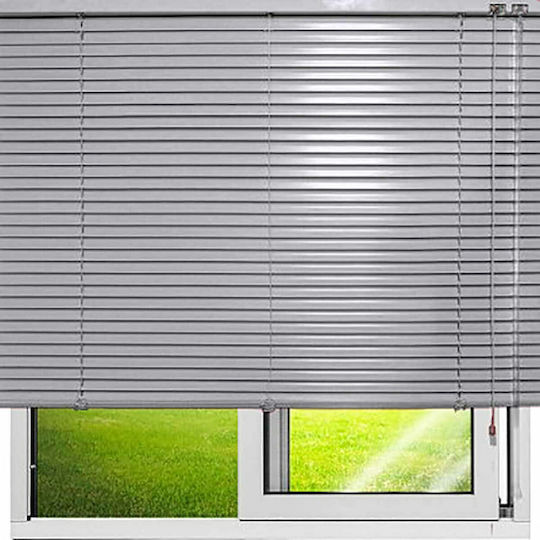 Frans Shade Blind Aluminum Nickel With Blade 25mm L100xH140cm 0000000090209 Frans Shade Blind Aluminum Nickel With Blade 25mm L100xH140cm 0000000090209