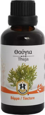 Herbstore Βάμμα Θούγια 50ml