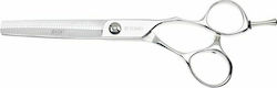 Aristocut TOMO 40T Thinning Hair Cutting Scissors 6" Aristocut TOMO 40T Thinning Hair Cutting Scissors 6"