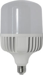 GloboStar 6006 GloboStar 6006