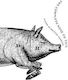 The Complete Nose to Tail, A Kind of British Cooking