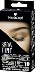 Schwarzkopf Brow Tint Eyebrow Tint Dark Brown