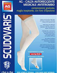 Luropas Scudovaris 426 Graduated Compression Thigh High Stockings with Silicone 18-24 mmHg White