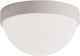 Zambelis Lights Classic Plastic Ceiling Light with Integrated LED 14pcs Gray