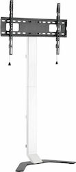 Reflecta TV Stand 80 Super Slim 23195 Βάση Τηλεόρασης Δαπέδου έως 80"