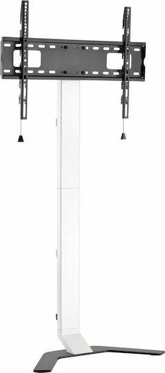 Reflecta TV Stand 80 Super Slim Βάση Τηλεόρασης Δαπέδου έως 80" και 40kg