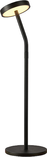 Zambelis Lights Dekorative Lampe Schwarz