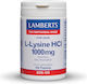 Lamberts L-Lysine HCL 1000мг 120 Таблетки