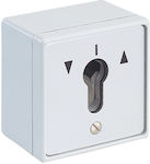 Wall-mounted key switch THIRARD (00012220)