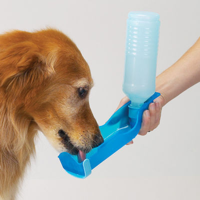 Flasche Wasser für Hunde Blau 250ml