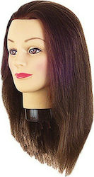 Educational Doll