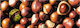 Exas Paper Brown 187127236