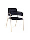 Kelso Dining Room Velvet Armchair Black 55x53x80cm 2pcs HM8521.04