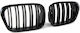 Dekorative Auto Maske BMW E39 / M5