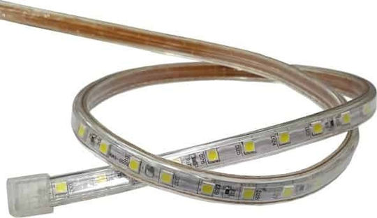 Universe Αδιάβροχη Ταινία LED 220V Φυσικό Λευκό Φως 1m Τύπου SMD5050