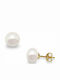 Rubini Earrings made of Gold 14K with Stones & Pearls