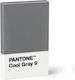 Pantone Γόμα για Μολύβι Pantone Cool Γκρι