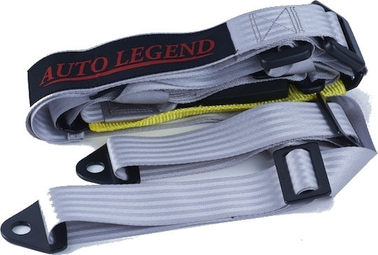Autolegend 4 Point Seat Belt Grey in Gray Color