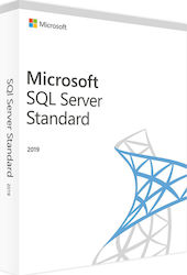 Microsoft SQL-Server 2019 Englisch 7NQ-01564