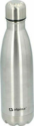Alpina Appliances 500ml Silber