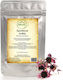 Nostos Pure Echinacea 1000gr