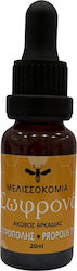Melissokomia Sofrona Propolis Arcadia 20ml Melissokomia Sofrona Propolis Arcadia 20ml