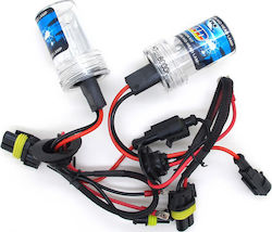 LMS Xenon Σετ Φωτισμού Αυτοκινήτου H7 35W 12V 6000K Ψυχρό Λευκό