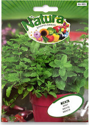 SEED OF MINT- NATURA