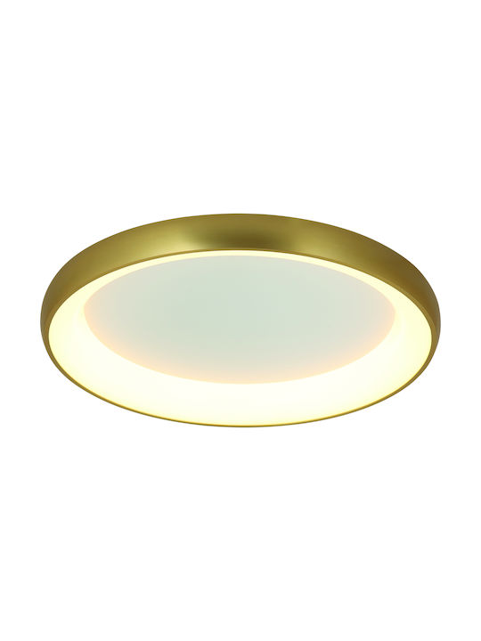 Zambelis Lights Modern Metallic Ceiling Mount Light with Integrated LED in Gold color 60pcs