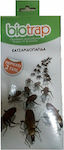 STAC Παγίδα για Κατσαρίδες / Μυρμήγκια με Κολλητική Επιφάνεια 2τμχ