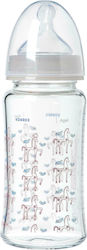 Korres Glasflasche Agali Gegen Koliken mit Silikonsauger für 0+, 0+ m, Monate Grey 230ml 1Stück