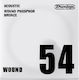 Dunlop Dunlop Single Acoustic Guitar String 54 Inches