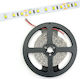 Avide Ταινία LED ABLS12V2835-60CW20-4.8W 12V Ψυχρό Λευκό Φως 5m Τύπου SMD2835