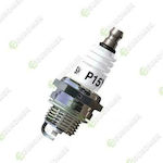 NGK Car Spark Plug 1pcs