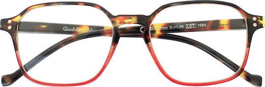 Gian Marco Venturi Cagliari Lesebrille +2.50 Tartarouga Rosso