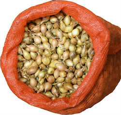 Gemma Zwiebel Zwiebel Kokkari Braun 1kg