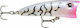 Rapala Ultra Light Pop Τεχνητό Δόλωμα Ψαράκι (M...