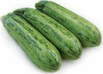 Syngenta Rigas Seeds Pumpkinς Zucchini 1000pcs