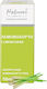 HealthTrade Indisches Zitronengras Ätherisches Öl Limette 10ml