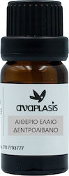 Anaplasis Ätherisches Öl Rosemary 10ml Anaplasis Ätherisches Öl Rosemary 10ml